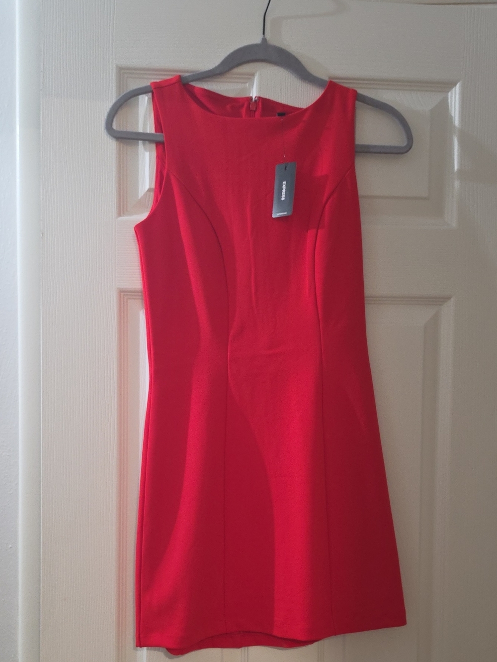 Express Red Sleeveless Sheath Dress